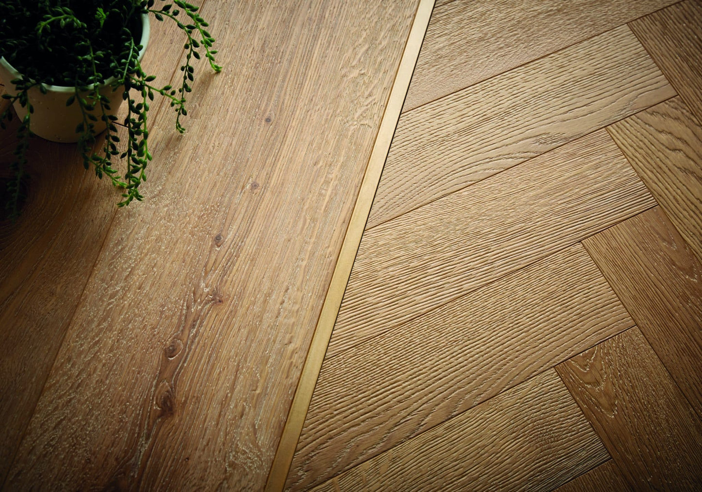 Katsura Oak Brushed & UV Oiled