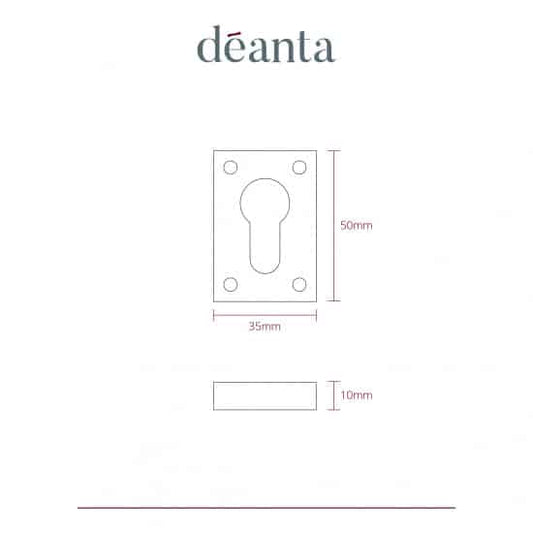 Slim Escutcheon (Pair) Polish Nickel