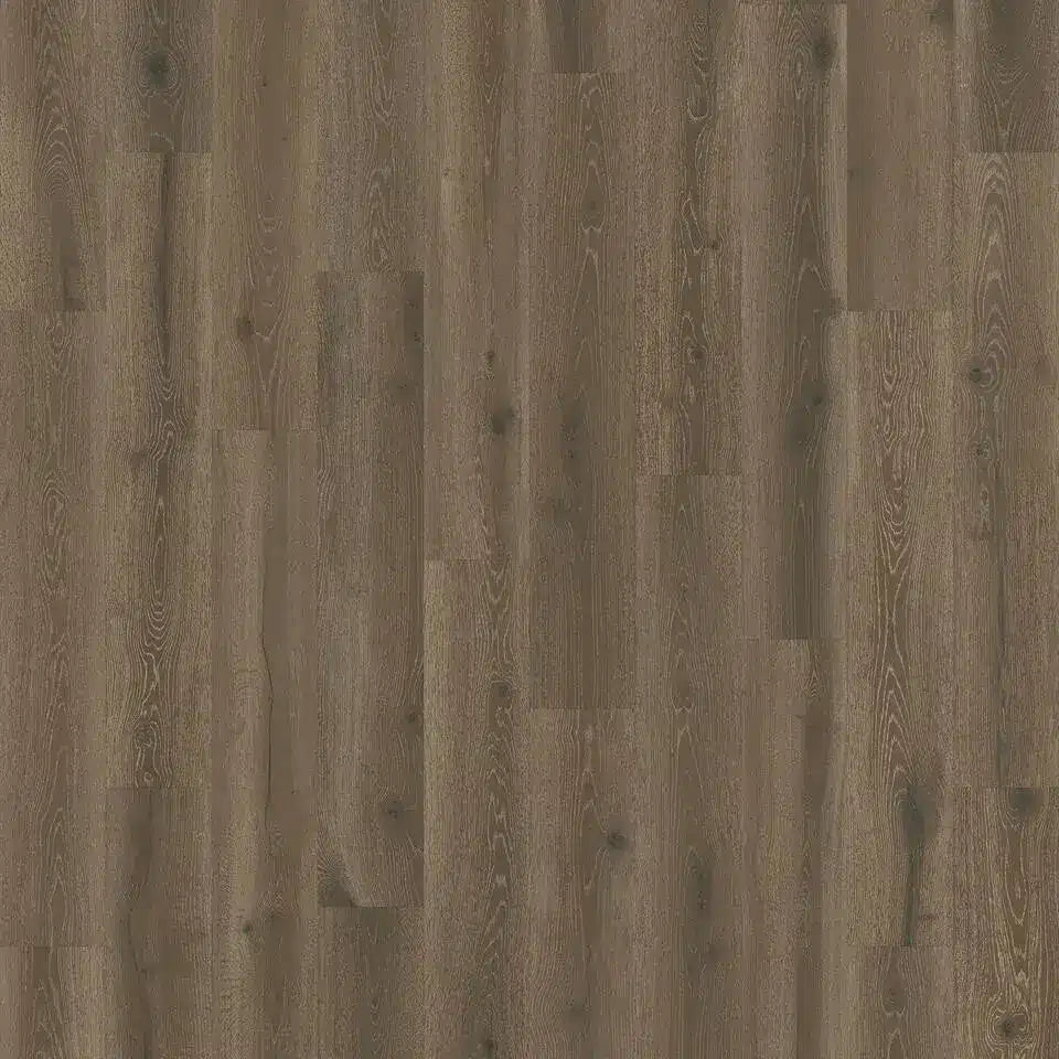 Tarkett Glue-Down LVT Forest Oak Coffee