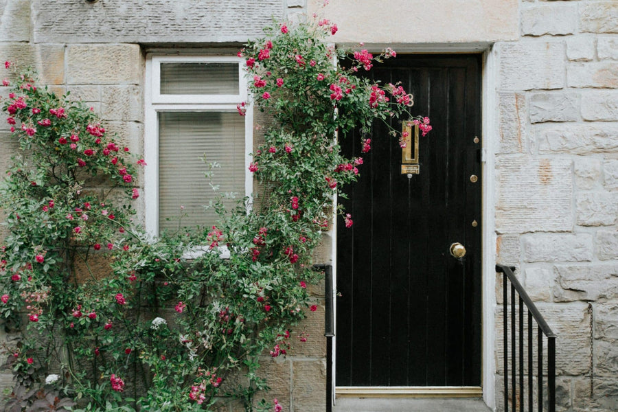 lucija-ros-PzwbYT4qsHk-unsplash