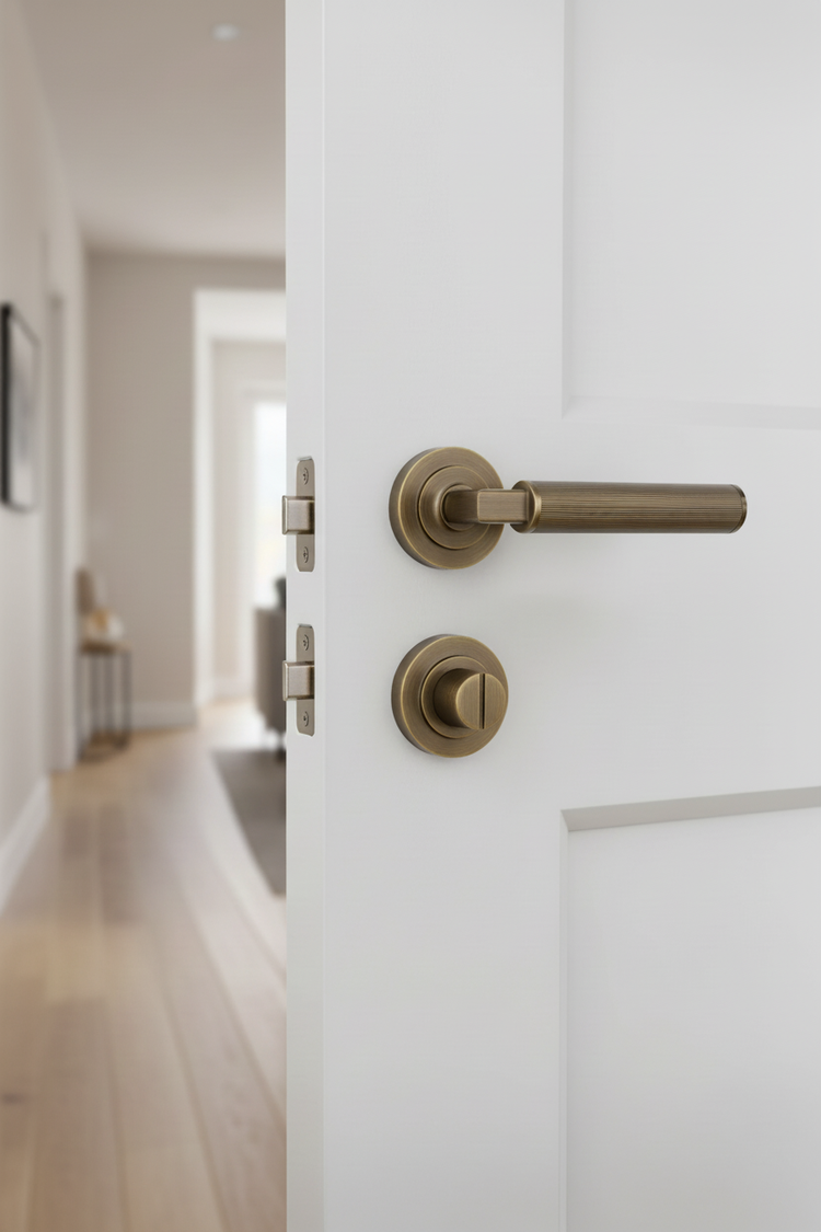 Bathroom Door Handles