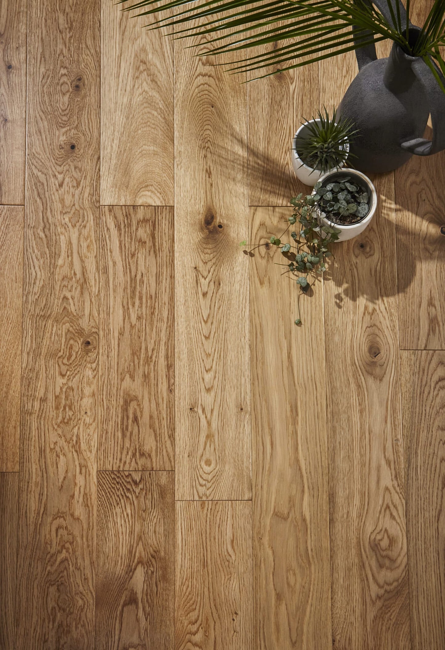 Iona Oak Brushed & UV Oiled