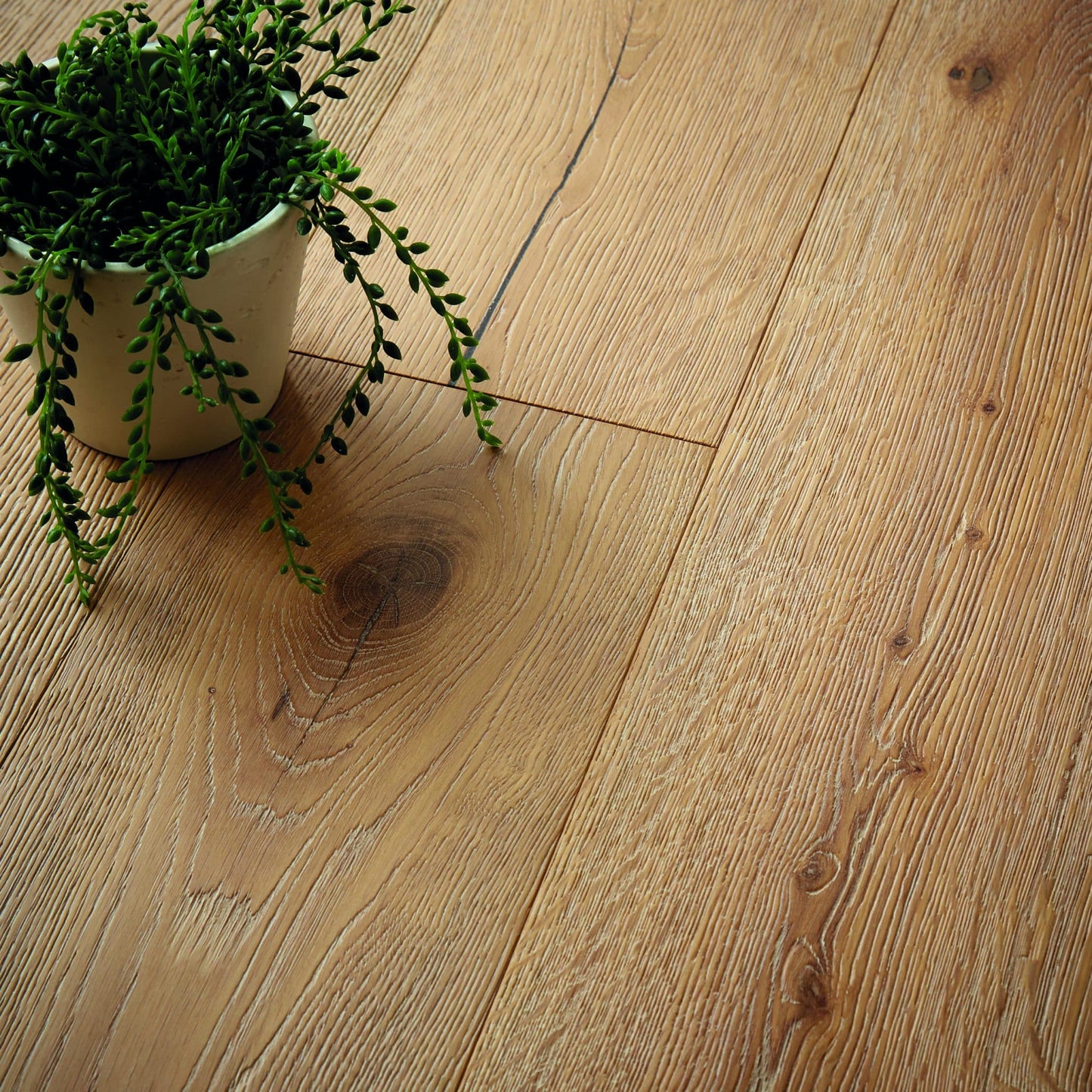 Katsura Oak Brushed & UV Oiled