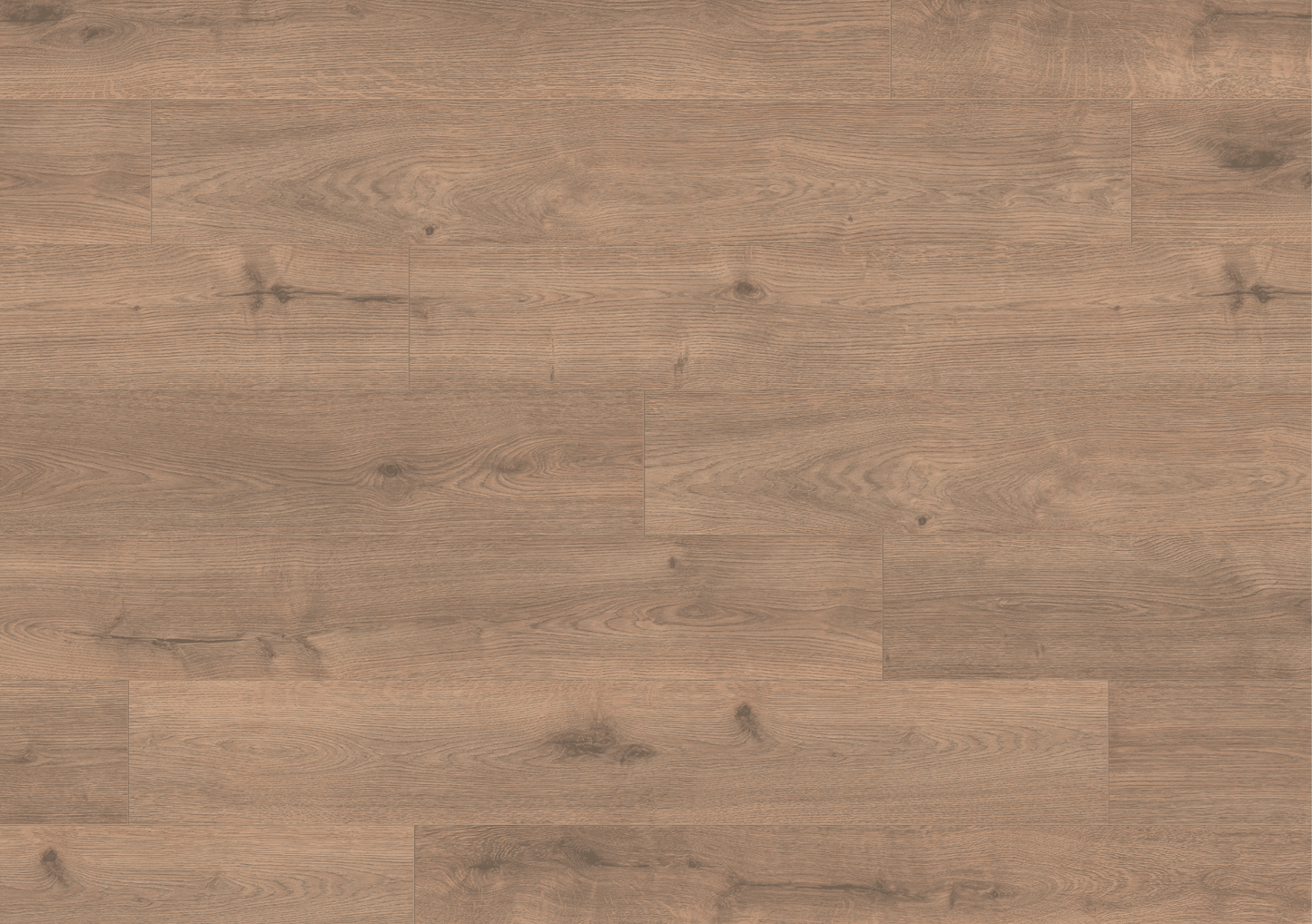 8mm Olympus Oak