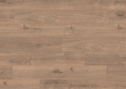 8mm Olympus Oak