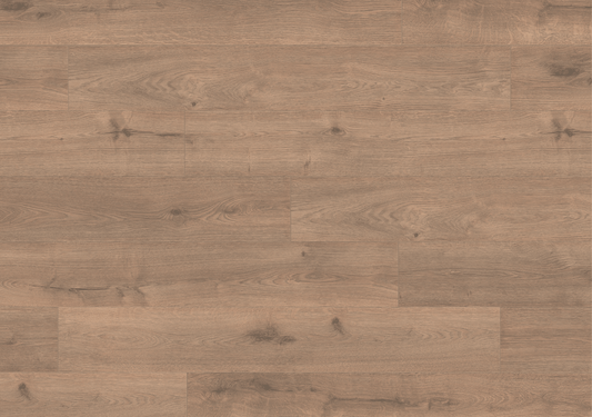8mm Olympus Oak