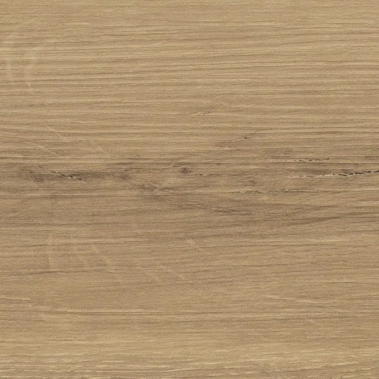 Luvanto Glue-Down LVT Monarch Oak