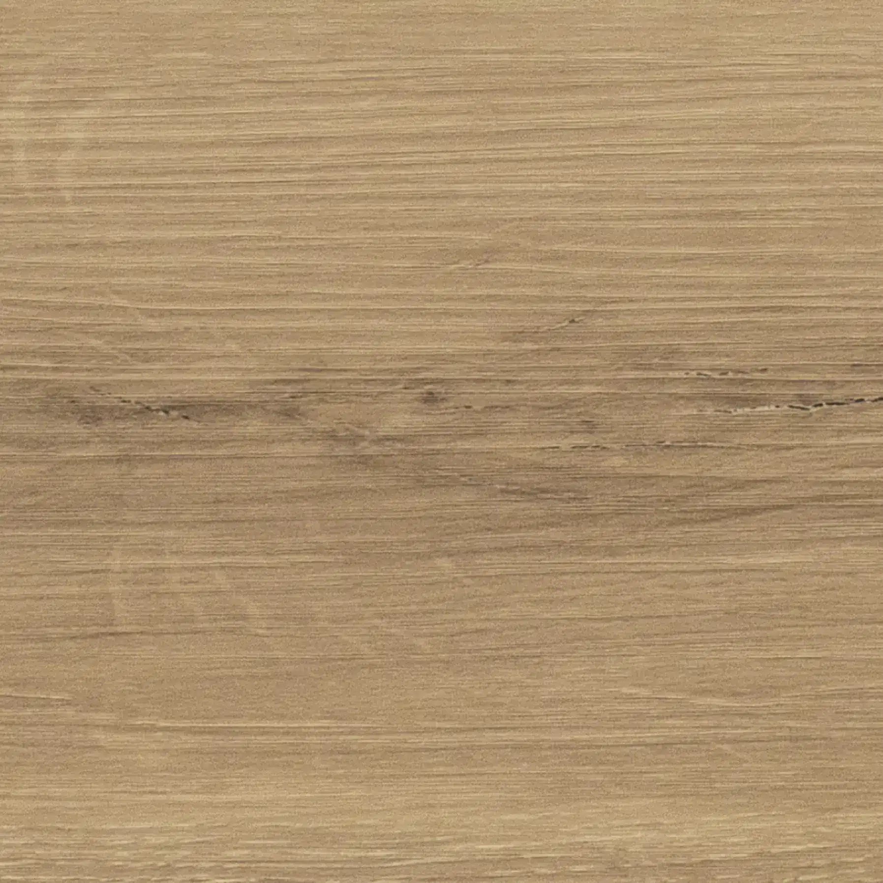 Luvanto Glue-Down LVT Monarch Oak