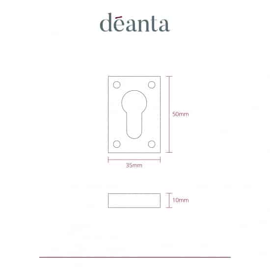 Slim Escutcheon (Pair) Polish Nickel