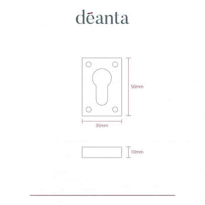 Slim Escutcheon (Pair) Polish Nickel