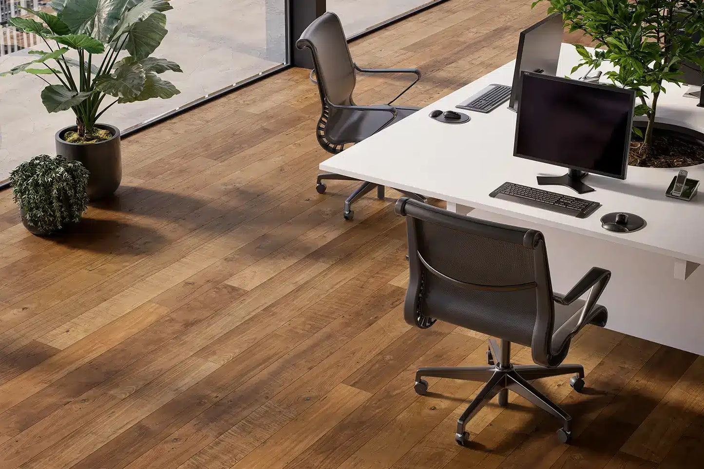 Karta Sanson Wide Plank