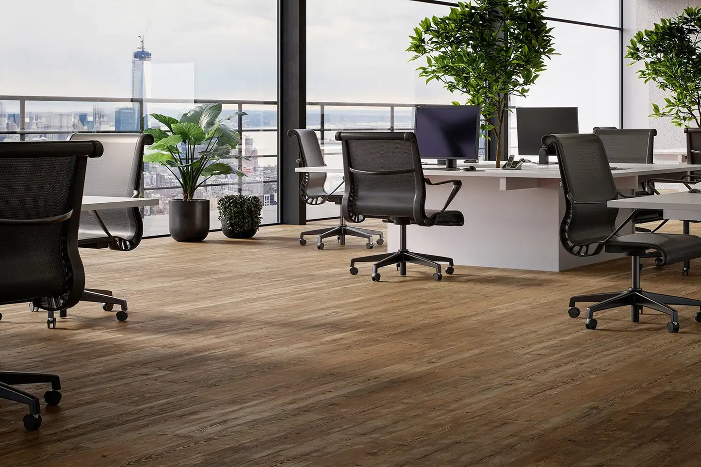 Karta Shepherd Wide Plank