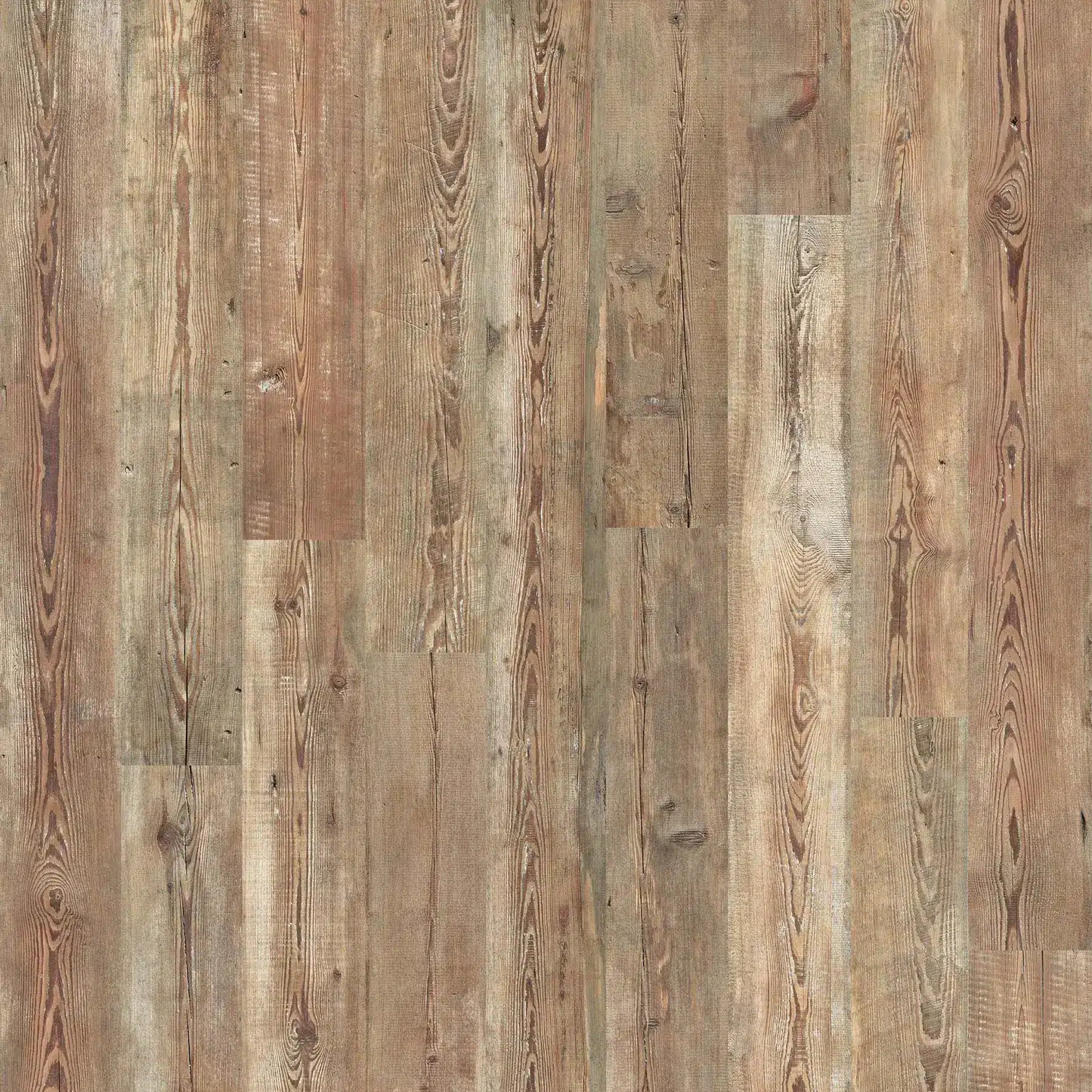 Karta Shumate Wide Plank