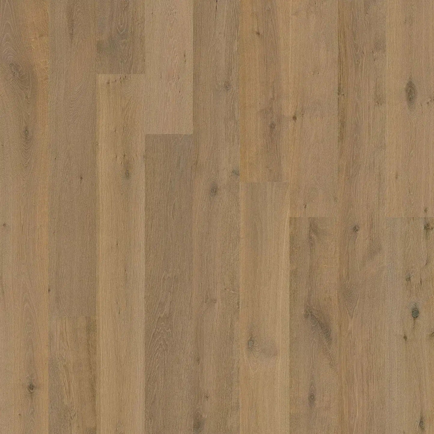 Karta Spence Wide Plank