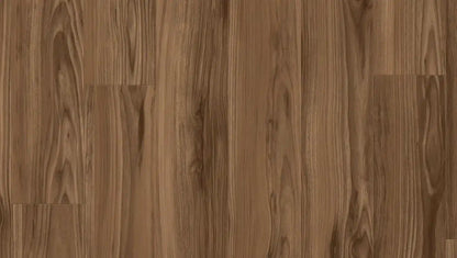 Tarkett Glue-Down LVT American Walnut Marron