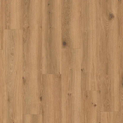 Tarkett Glue-Down LVT Creek Oak Brown
