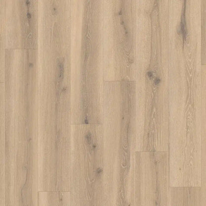 Tarkett Glue-Down LVT Forest Oak Nutmeg