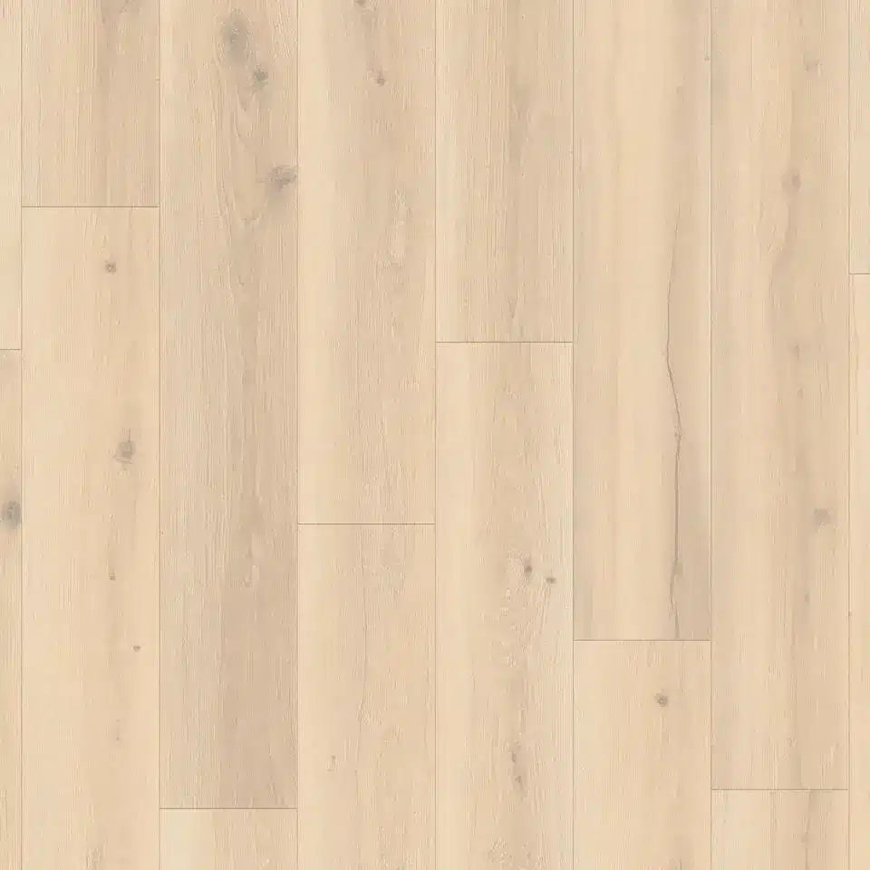 Tarkett Glue-Down LVT Forest Oak Pistachio Shell