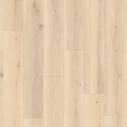 Tarkett Glue-Down LVT Forest Oak Pistachio Shell