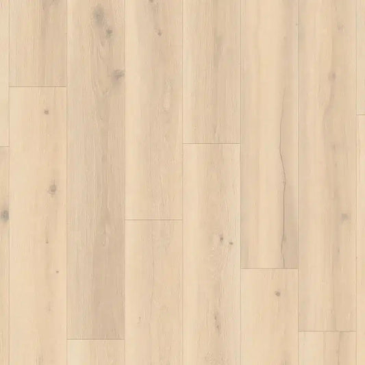 Tarkett Glue-Down LVT Forest Oak Pistachio Shell