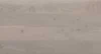 Timba Floor 5G 14 x 155 Grey Oak Brushed Matt Lacquered