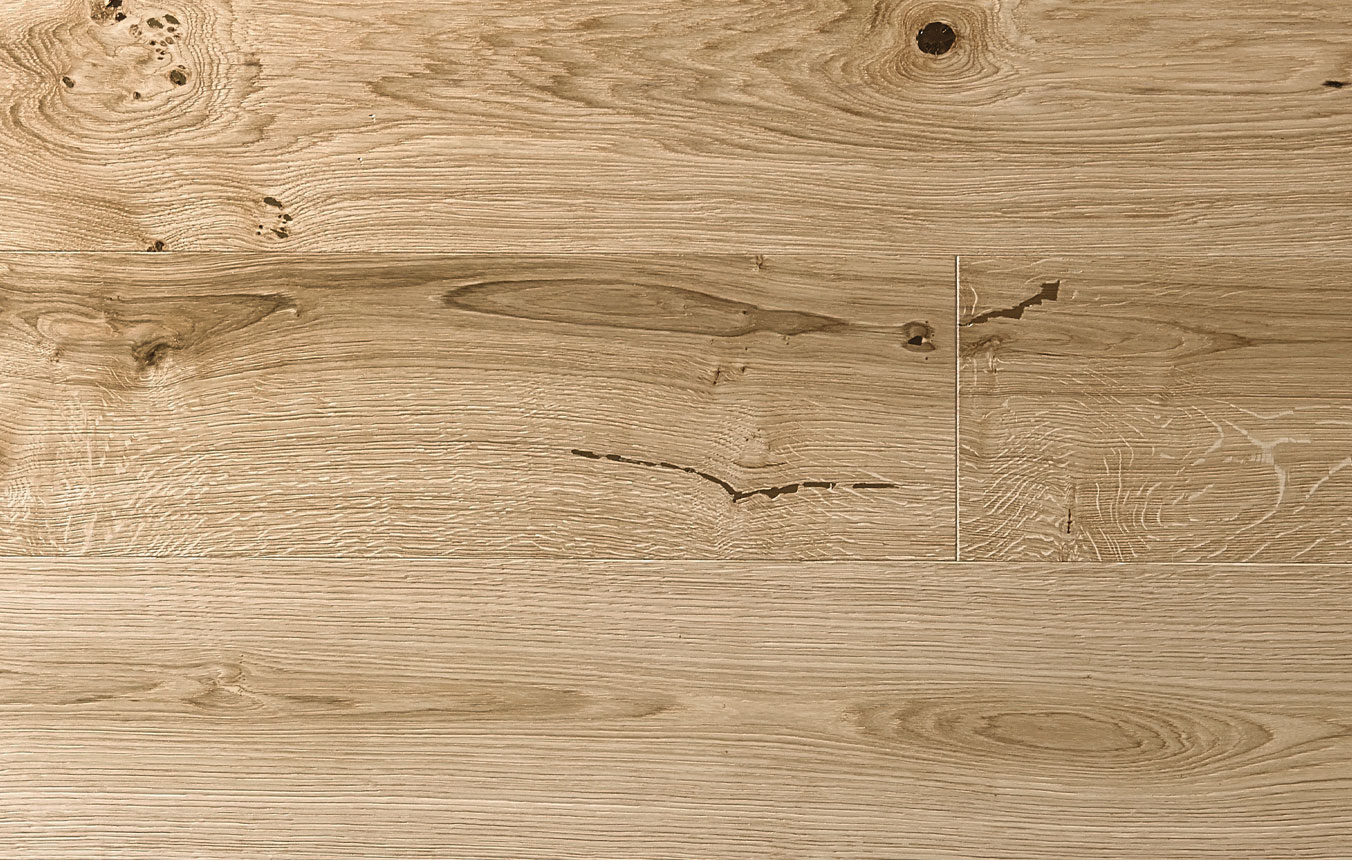 Sandbank Oak