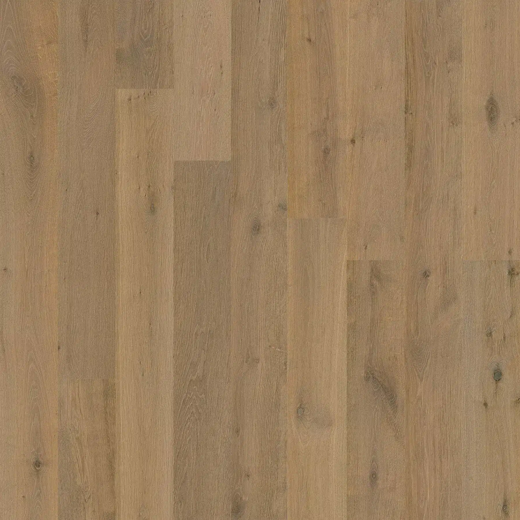 Karta Spence Wide Plank