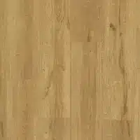 Tarkett Glue-Down LVT Swiss Oak Stained